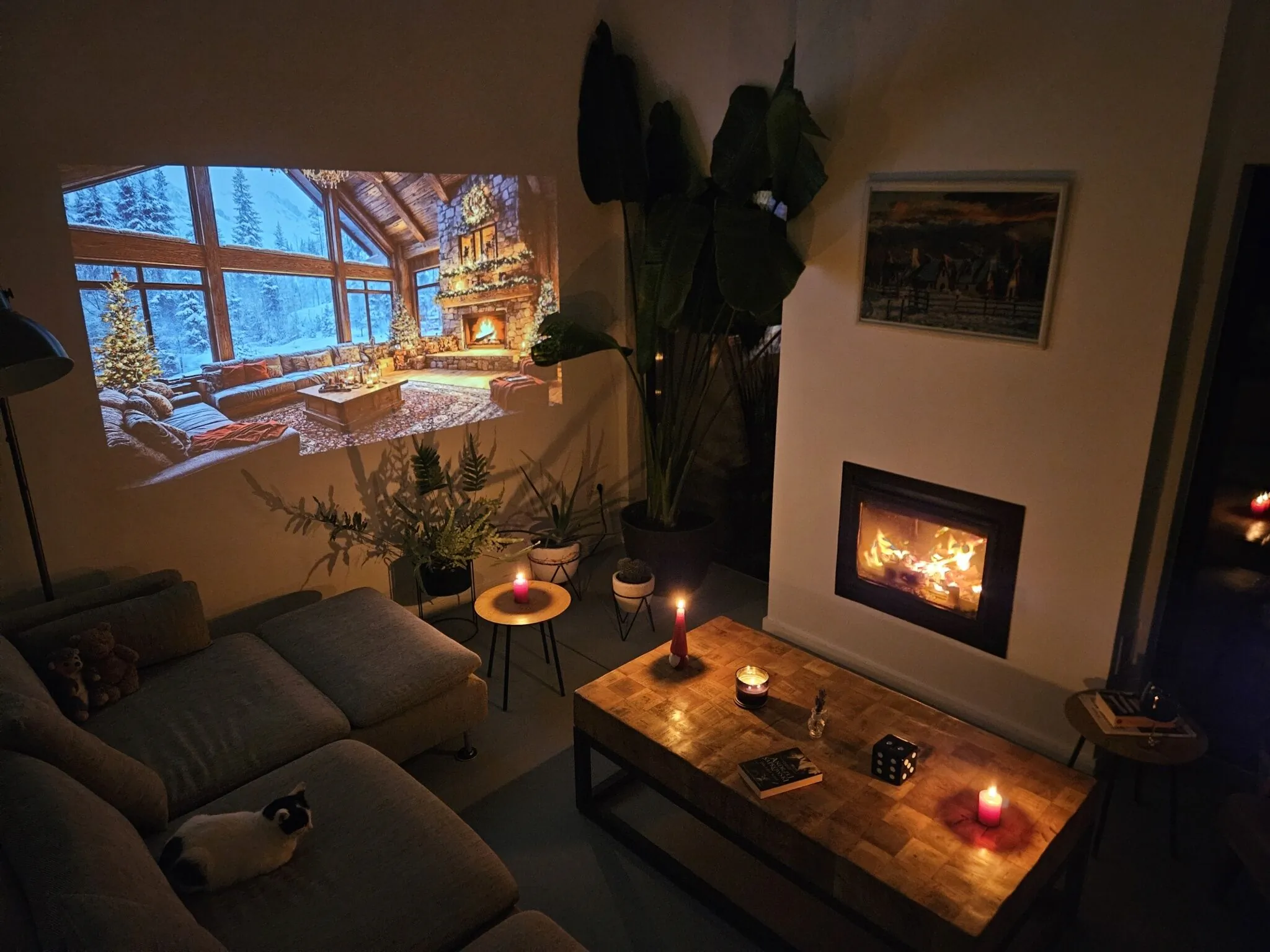 Black Walnut House Homorâciu