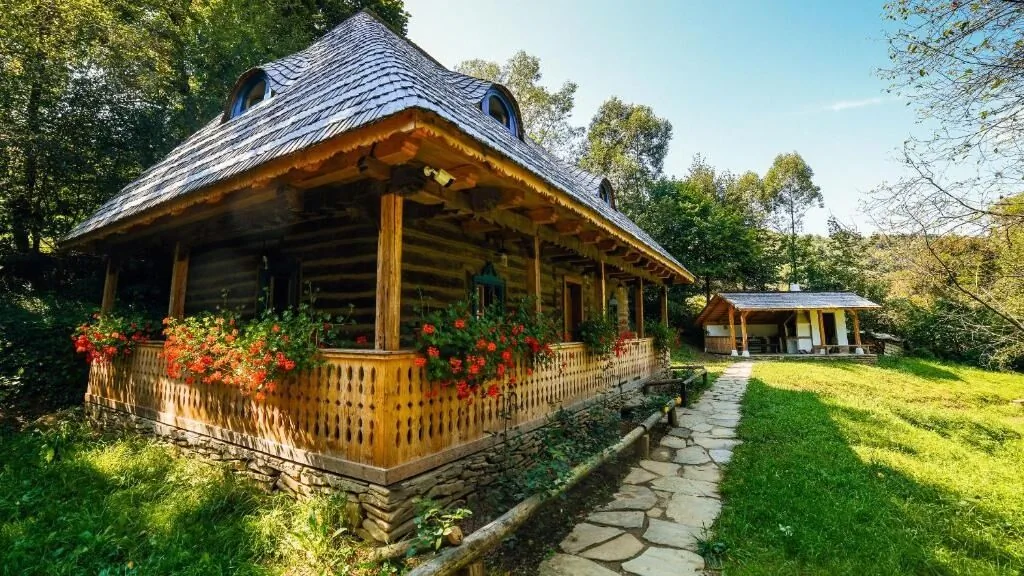 Casa lu' Ion Vișeu de Sus