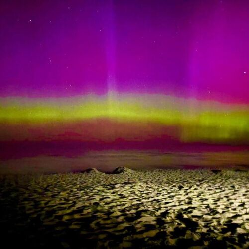 Diuna Apartamenty 365