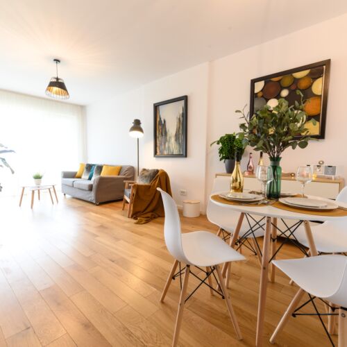 North Artistique Apartment - Aviatiei București
