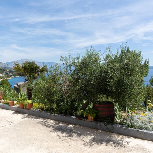 Apartman Omiš - CSC765  2