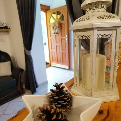 Fenyvestelek Vendégház Őrimagyarósd 019 kép