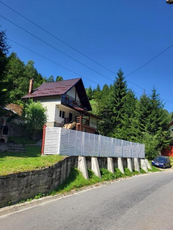 Diana's Holiday Home Sătic