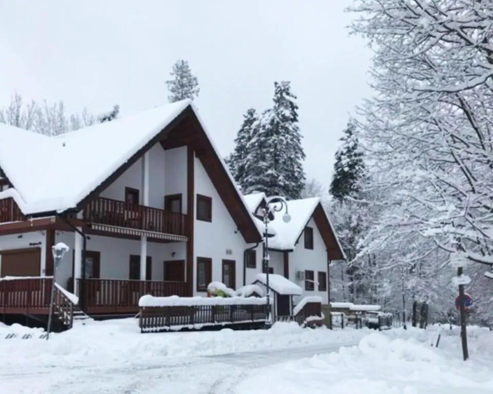 Bieszczadzki Dworek Polańczyk