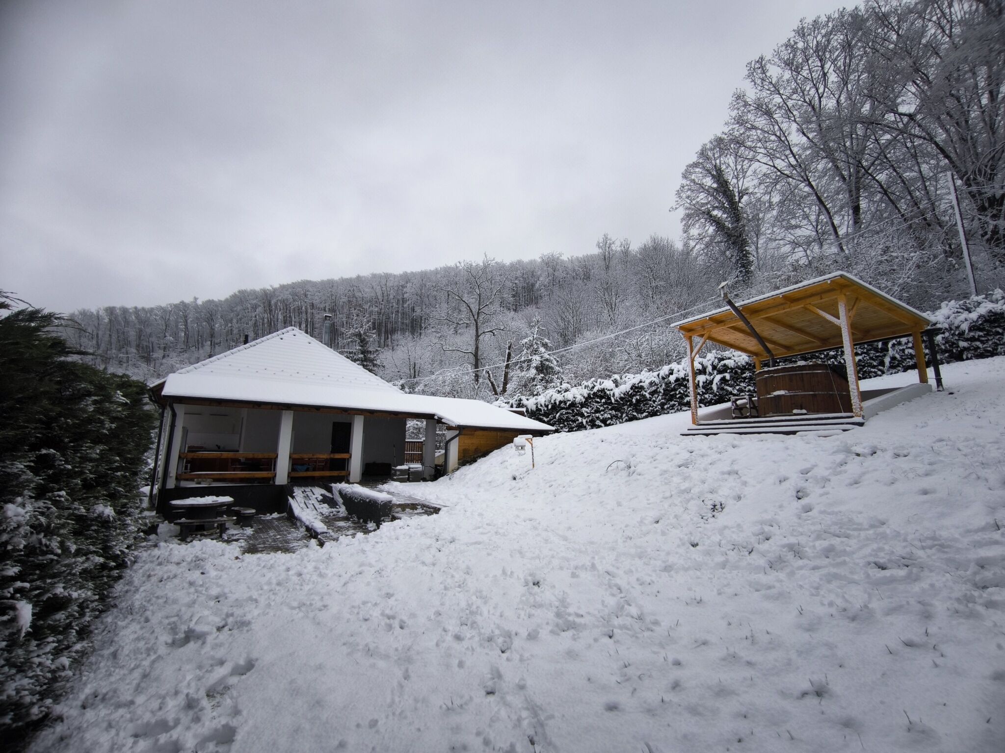 Forest Residence Miskolc