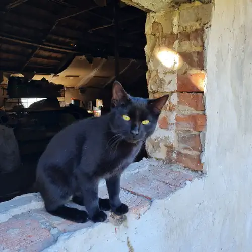 Tündér Tanya Táborfalva 006 kép