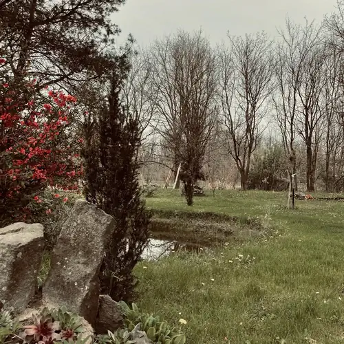 Őr-s-Égi Borona Porta Vendégház Alsószenterzsébet 009 kép