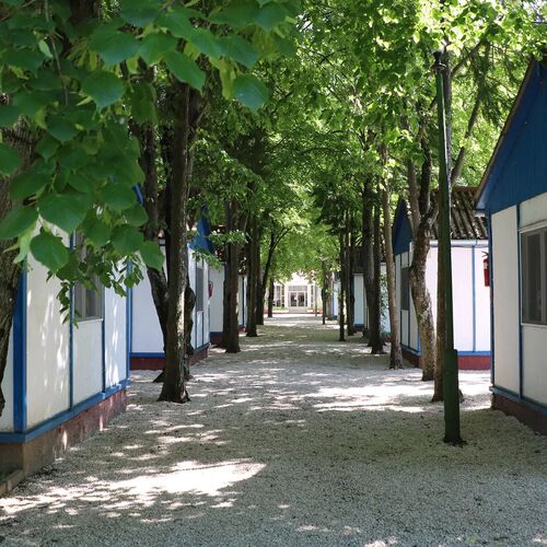 Tulipán bungalow camping resort*** Gyenesdiás ★★★ 4