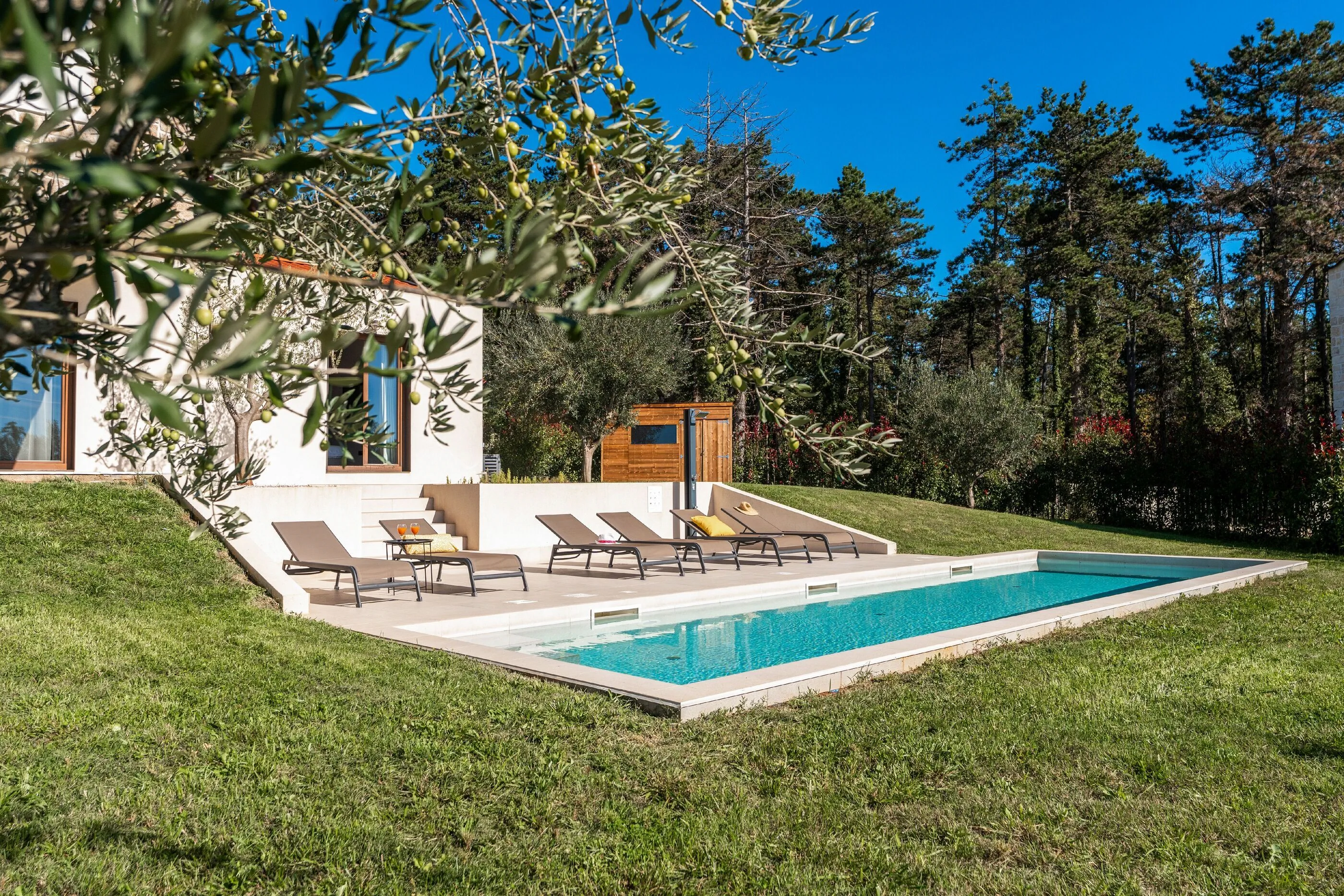 Villa Casa Venus s bazenom Visnjan