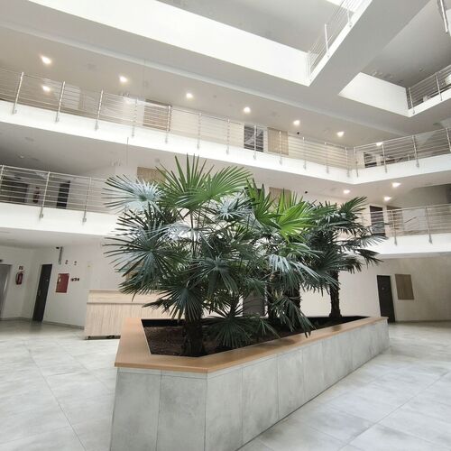 Sunshine Residence Lotus Apartment Hévíz  4
