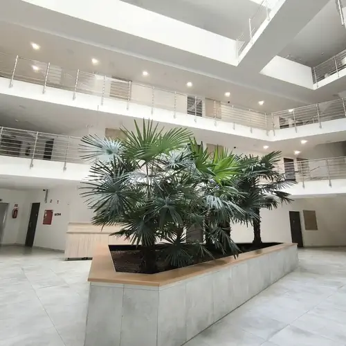 Sunshine Residence Lotus Apartment Hévíz 003 kép