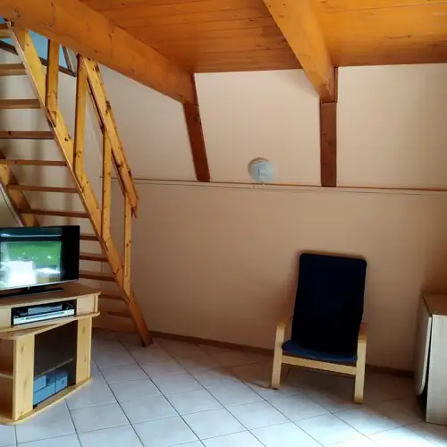 Diófasor Nyaraló Balatonvilágo 005 kép