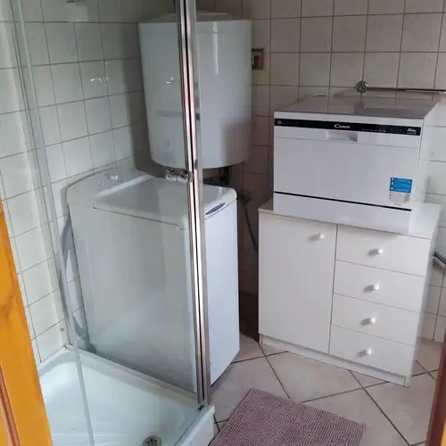 Diófasor Nyaraló Balatonvilágo 009 kép