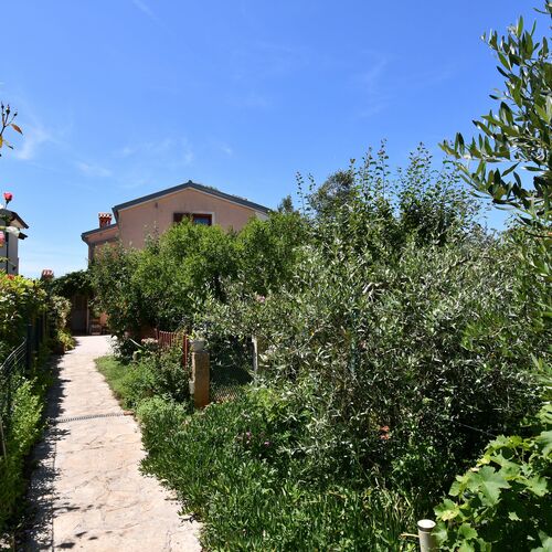 Apartments Petra Fazana  4