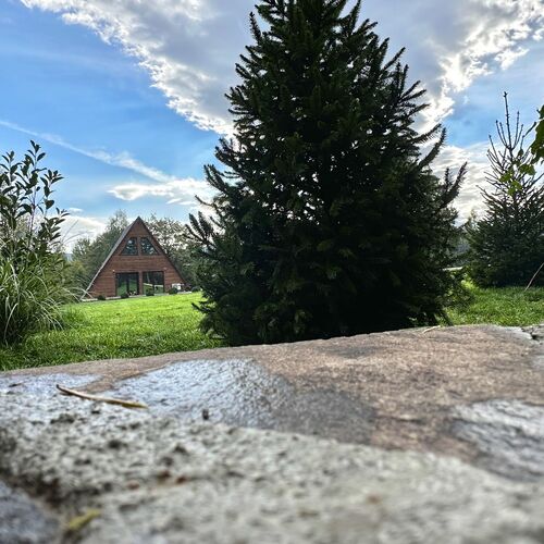 Cabana C&R Lodge Bran