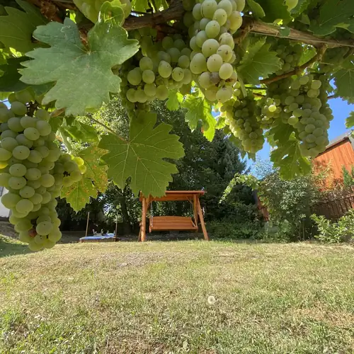 Nevenincs NYARALÓ Balatonfüred 035 kép