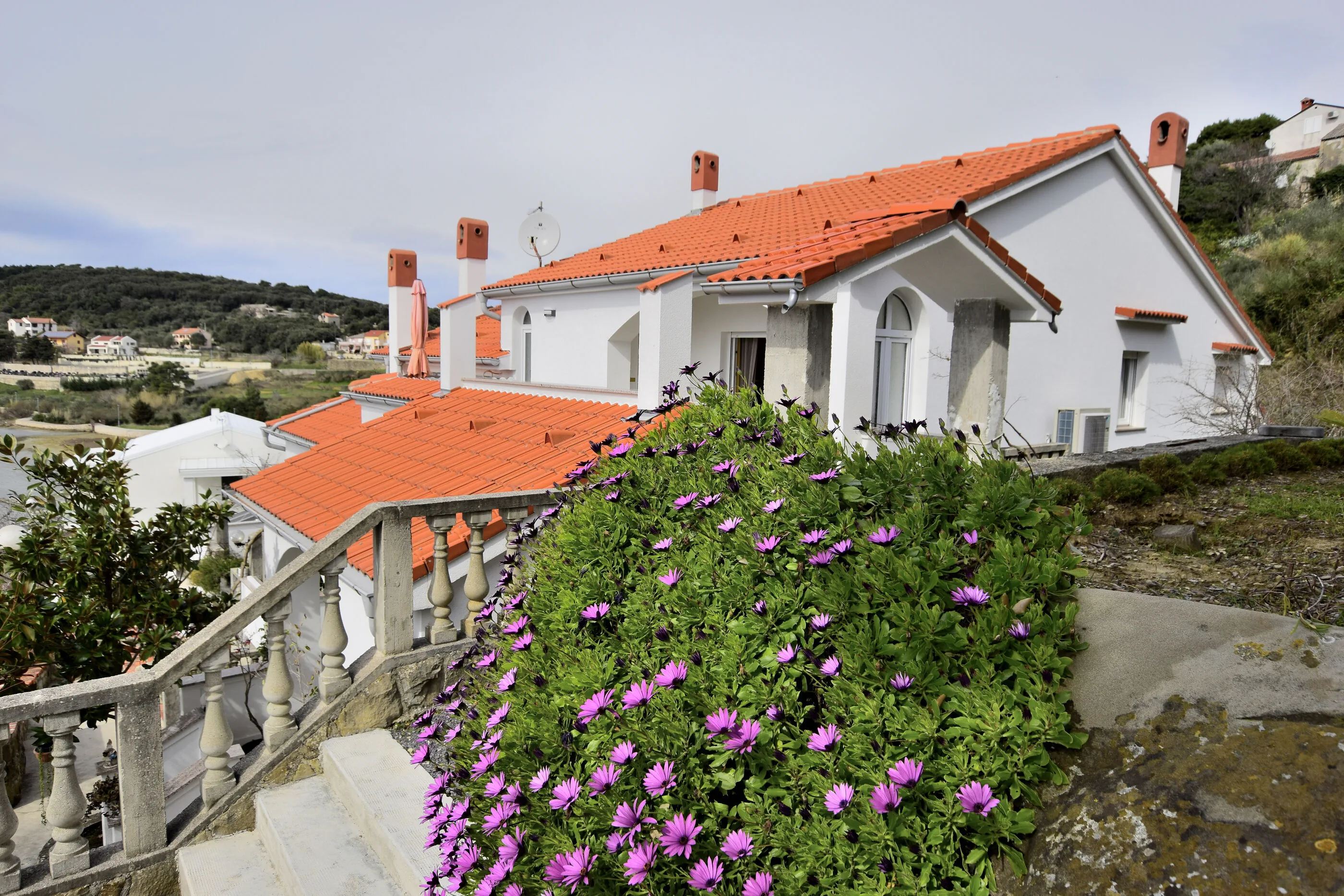 Apartment Vidas Palit