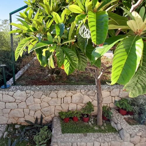 Apartmanok Parkolóhellyel Brela, Makarska - 18417 Brela  4