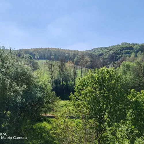 Erdőalja Vendégház Padlástér Jásd 008 kép