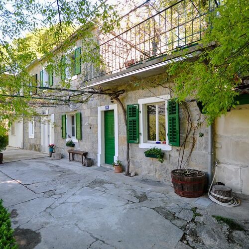 Apartment Nature Slime