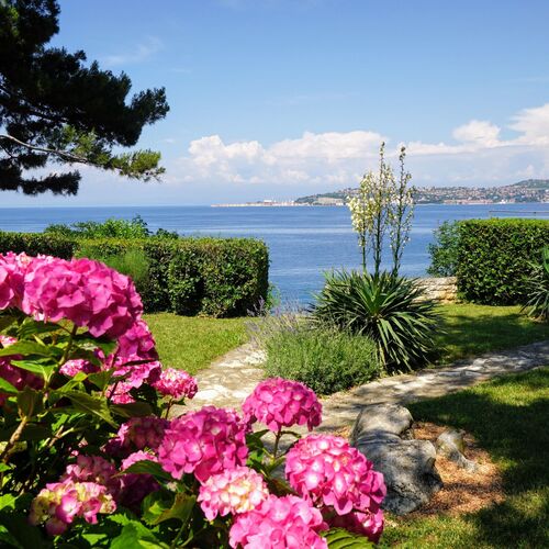 Apartments Villa Ana Monterosso Crveni Vrh