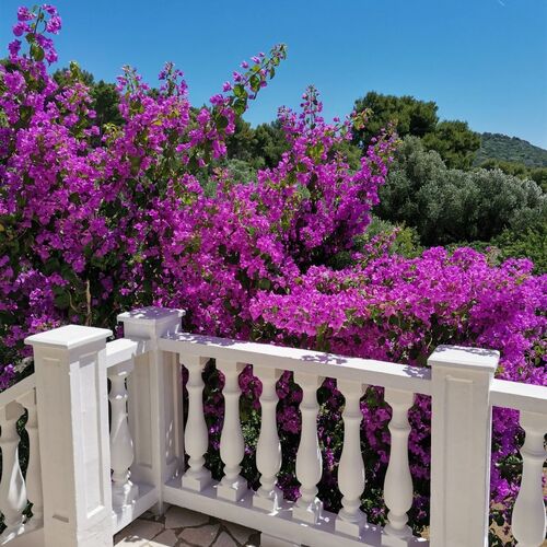 Apartment Vanja Mali Losinj