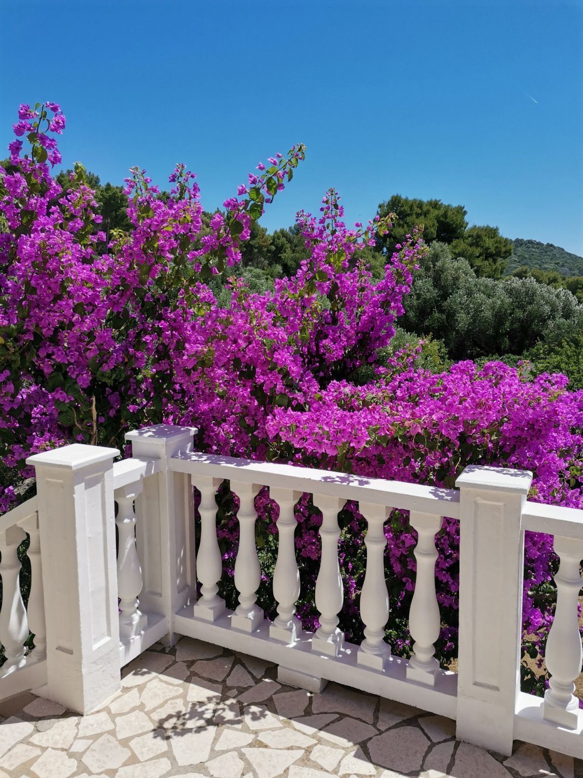 Apartment Vanja Mali Losinj