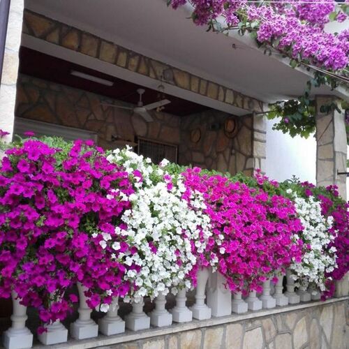 Apartment Dobri Sabunike  4