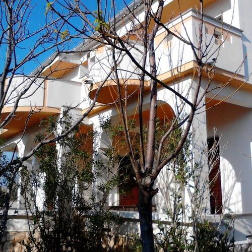 Apartments Ivan Pag  4