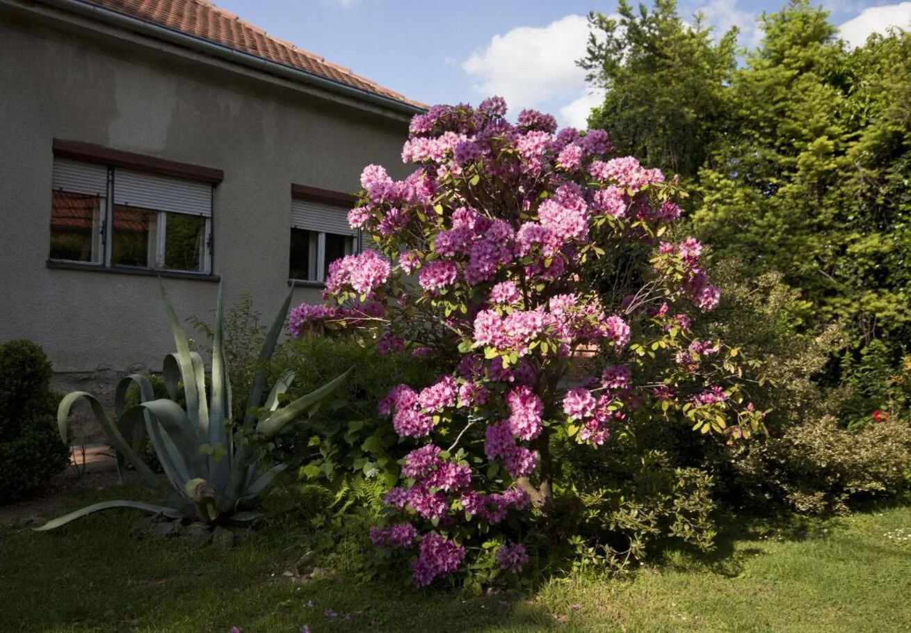 Rooms Branka Križevci