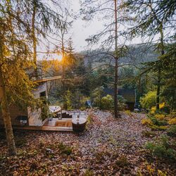 Moodhouse2623 Kismaros
