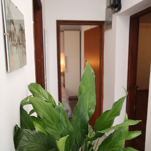 Apartments Alba Adria Poreč ★★★ 4