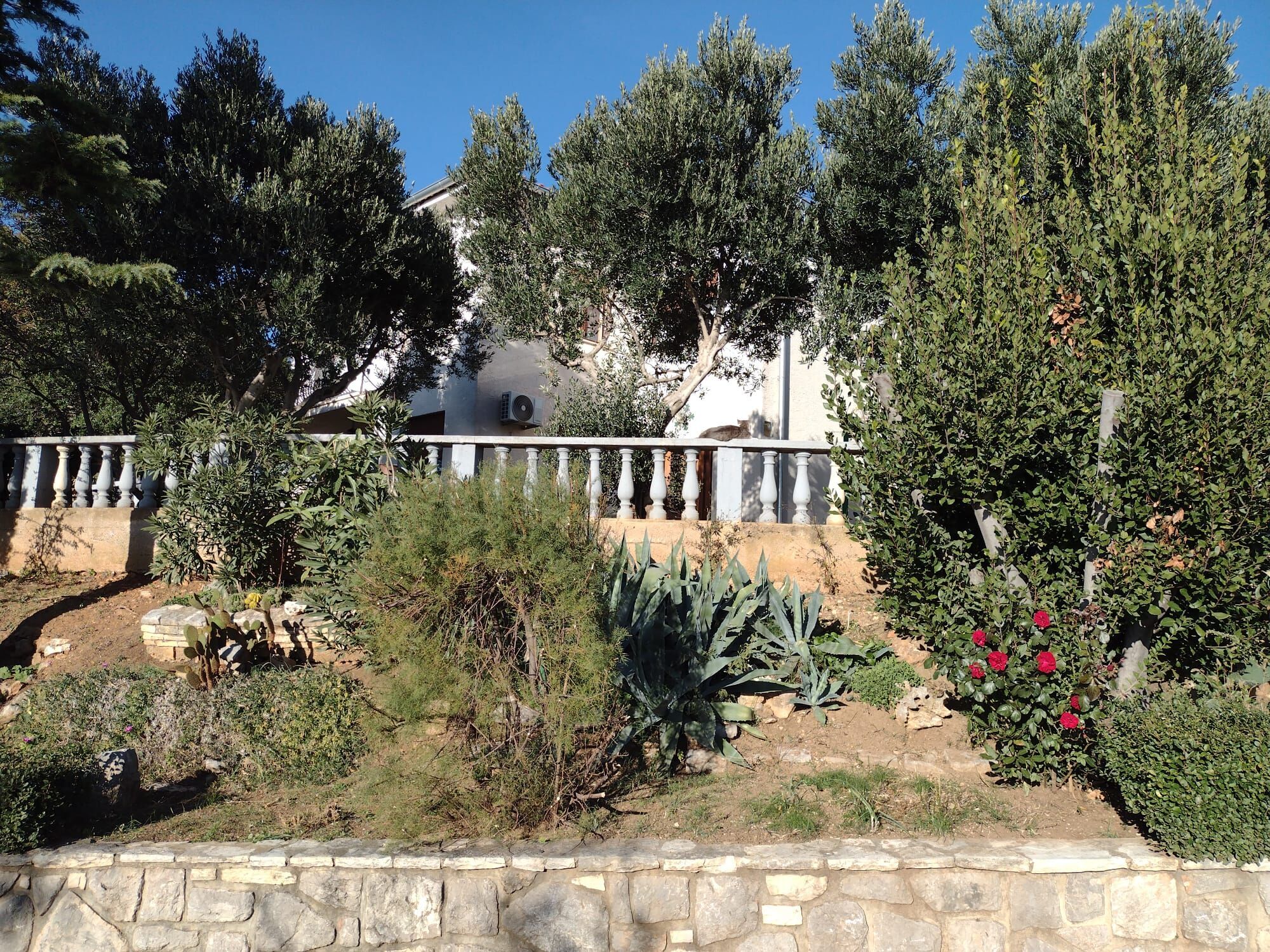 Apartment Anchi Povile