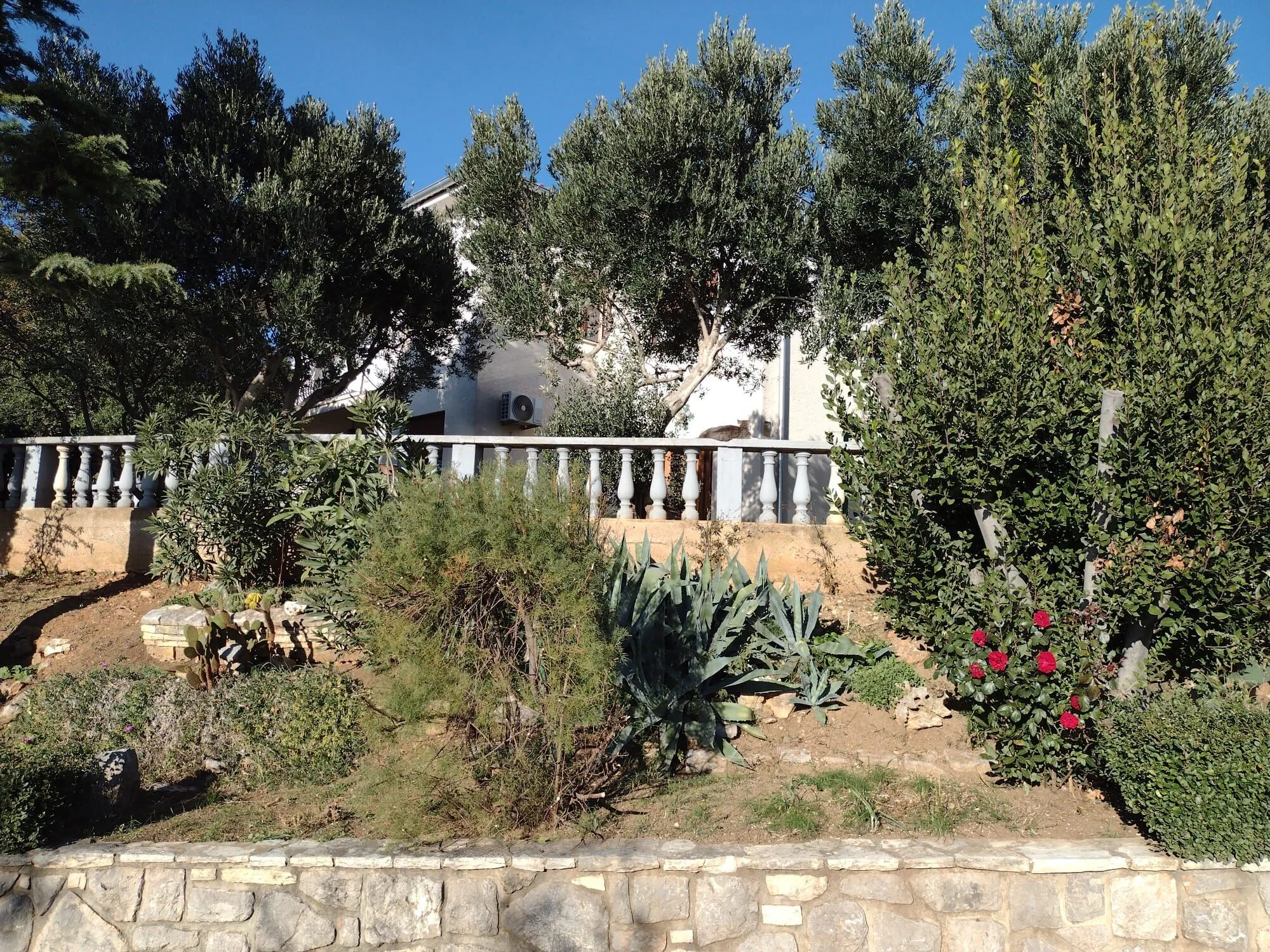 Apartment Anchi Povile