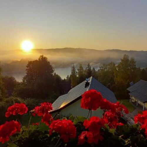 Arkadia Dom nad Jeziorem Solińskim Wołkowyja