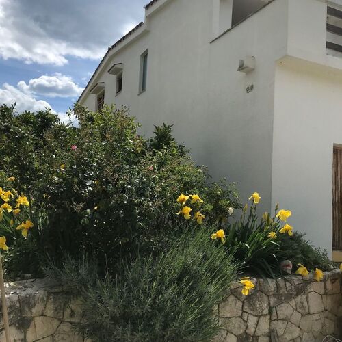 House Katy Peracko blato  3