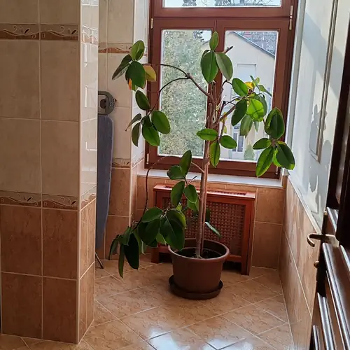 Elegáns Apartman Keszthely 015 kép