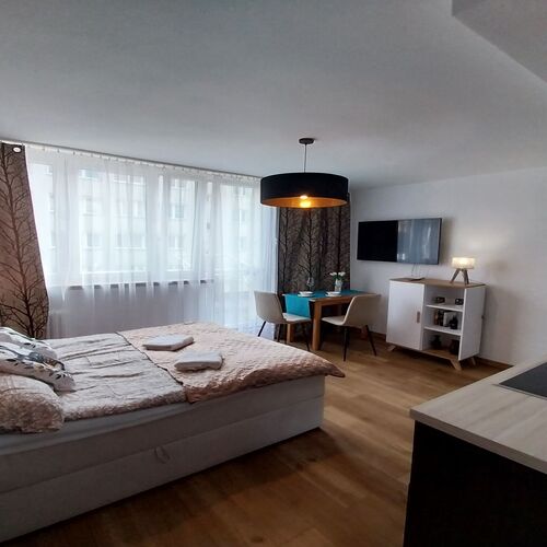 salon/sypialnia/aneks