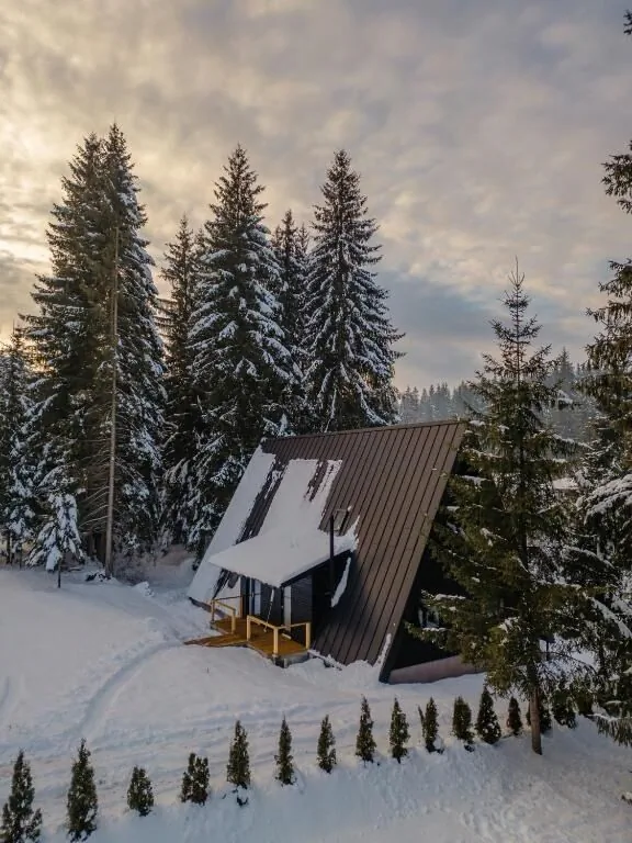 Black Raven Cabin Toplița