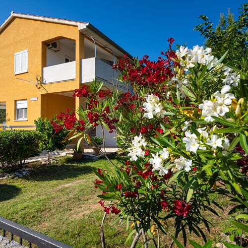 Apartments Agava Seline