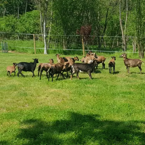 Villa Terézia Murarátka 020 kép