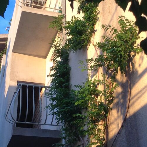 Apartmanok és Szobák A Tenger Mellett Drasnice, Makarska - 22573 Drašnice  4