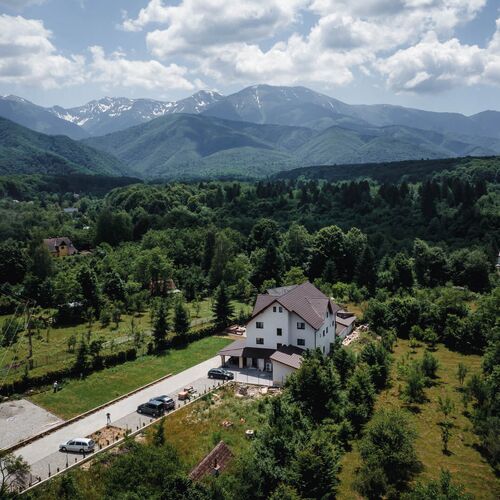 Evergreen Chalet Avrig