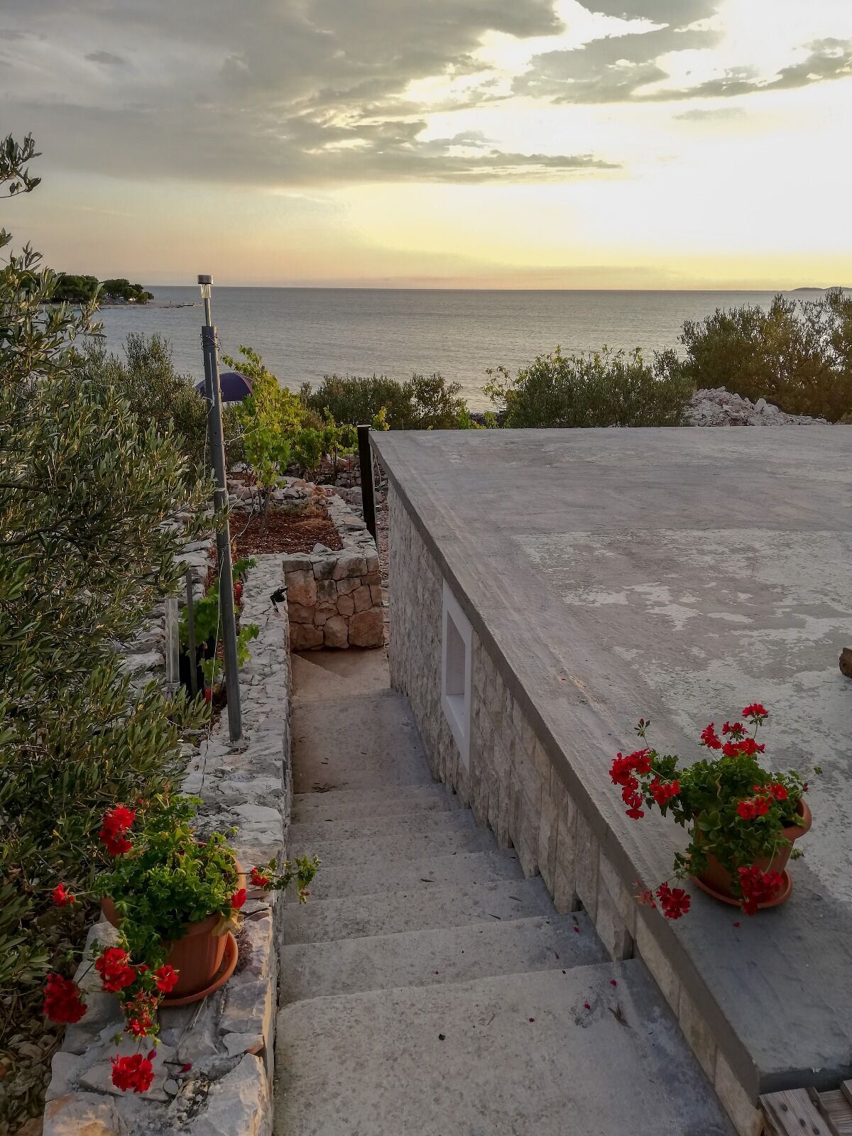 House Robinson house Dolac