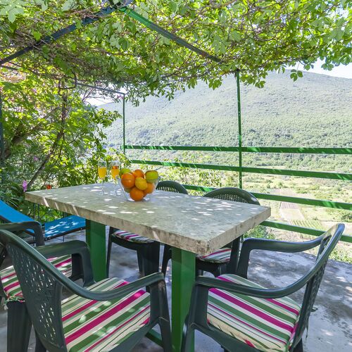 Apartment Feel the nature Slime