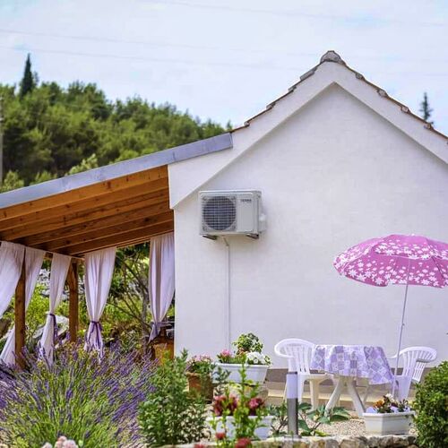 House Marie's Lavander Dream Raslina