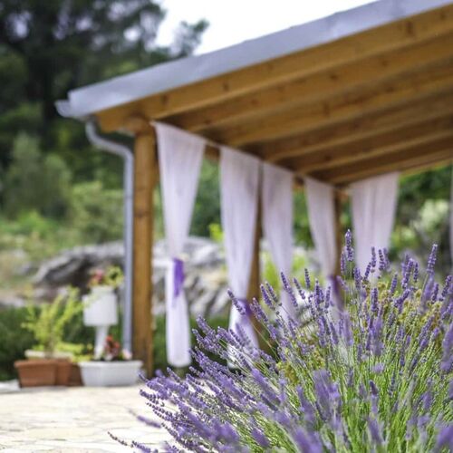 House Marie’s Lavander Dream Raslina