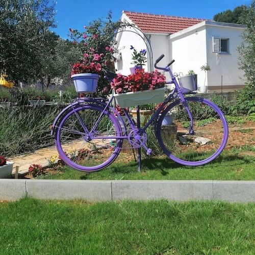 House Marie's Lavander Dream Raslina