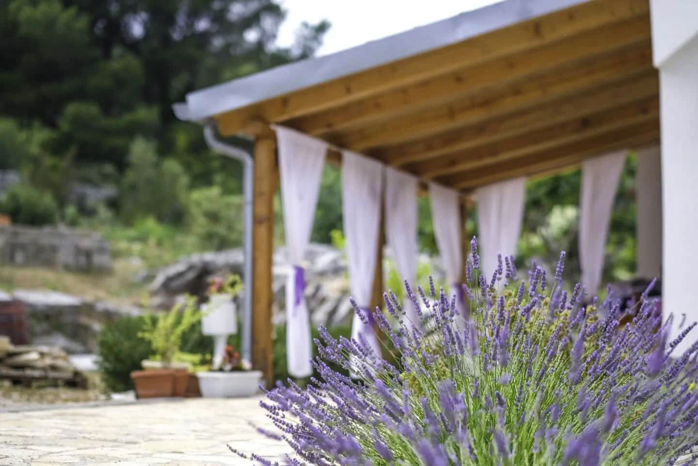 House Marie's Lavander Dream Raslina