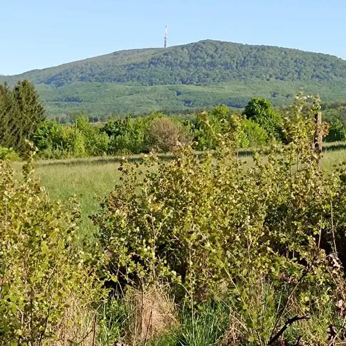 LélekZug Menedék Mátra Vendégház Parádsasvár 054 kép